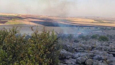 Besni ilçesinde çıkan anız yangınının ormanlık alana sıçraması endişe yarattı.