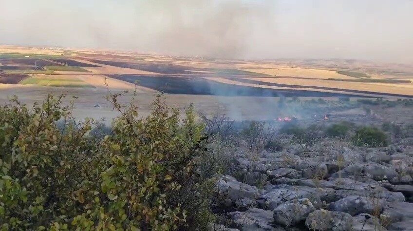 Besni ilçesinde çıkan anız yangınının ormanlık alana sıçraması endişe yarattı.