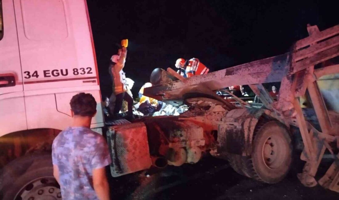 Beykoz’da, bir hafriyat kamyonu sürücüsünün kontrolünü kaybetmesi sonucu meydana gelen