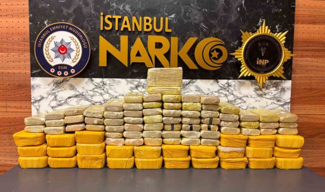 İstanbul Beylikdüzü ilçesinde polis ekipleri tarafından gerçekleştirilen operasyonda, bir araca