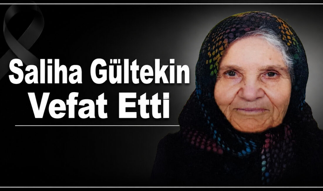 Beyvelioğlu köyünden gelme, Erzurum Mahallesi sakinlerinden Erol Gültekin’in annesi, müzisyen
