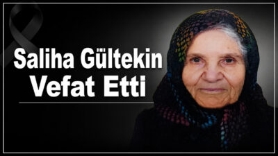 Beyvelioğlu köyünden gelme, Erzurum Mahallesi sakinlerinden Erol Gültekin’in annesi, müzisyen