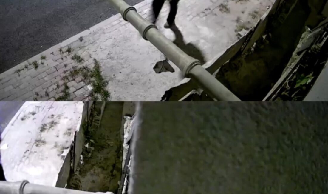 Mersin’in Tarsus ilçesinde yaşanan bir olayda bir kişi bıçakla boğazından