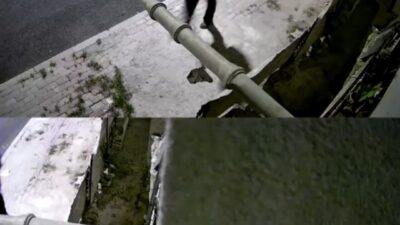 Mersin’in Tarsus ilçesinde yaşanan bir olayda bir kişi bıçakla boğazından