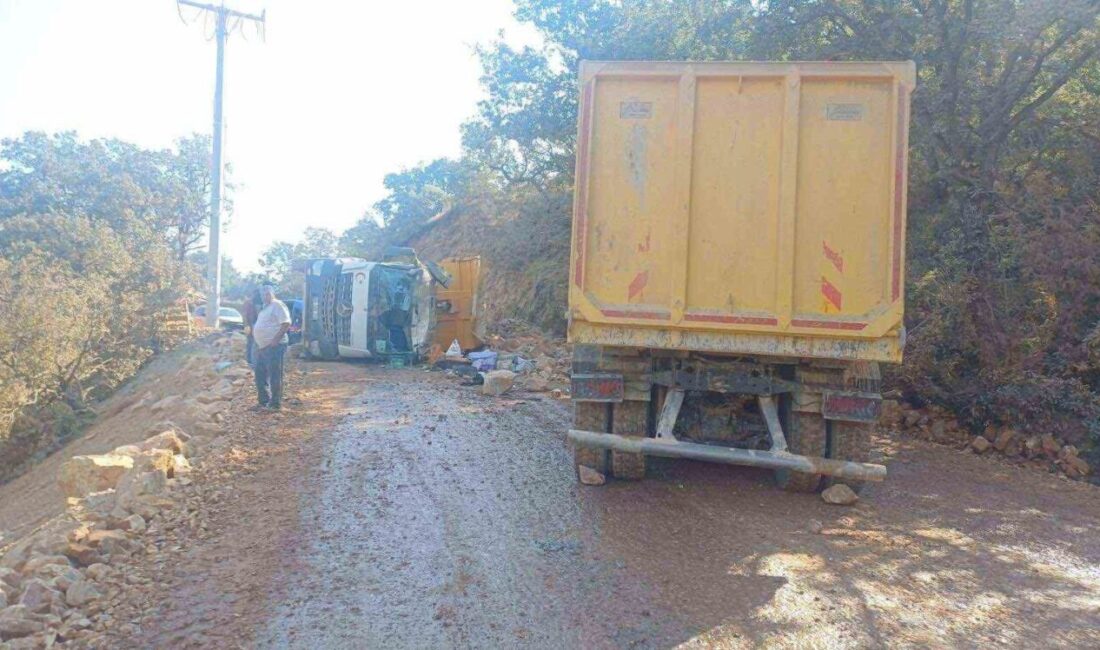 Bilecik’te meydana gelen trafik kazasında, 2 kamyonun kafa kafaya çarpışması