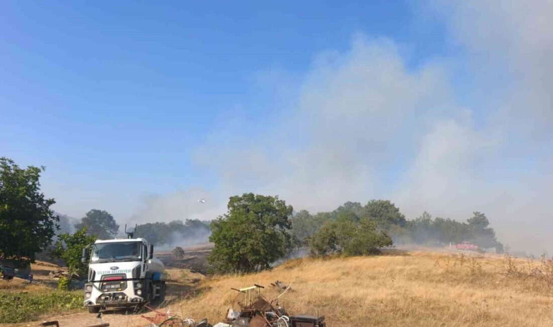 Bilecik’te Taşçılar köyü yakınlarında meydana gelen anız yangını, hava ve
