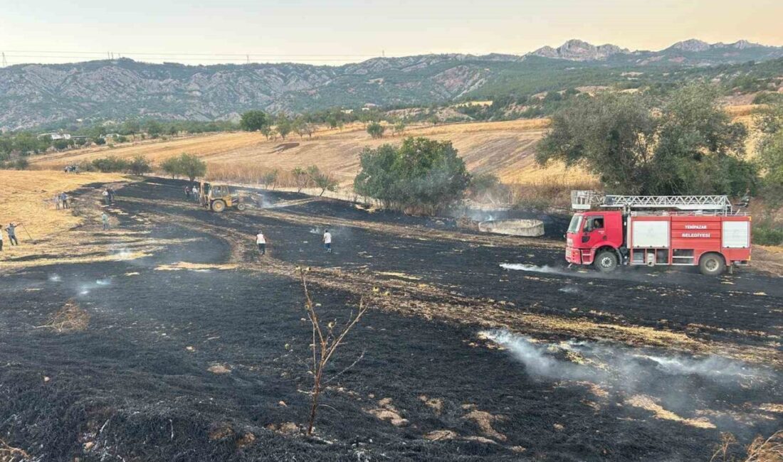 Yenipazar ilçesinde bulunan bir buğday tarlasında yangın çıktı. Katran köyü