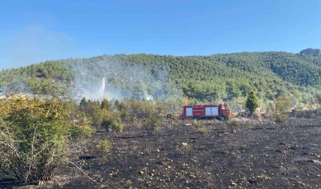Bilecik’te yaşanan tarla yangını ormana sıçramadan kontrol altına alındı. Samrı