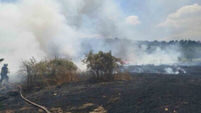 Bilecik’te yaşanan yangın sonucunda 30 dönümlük hasat edilmiş buğday tarlası
