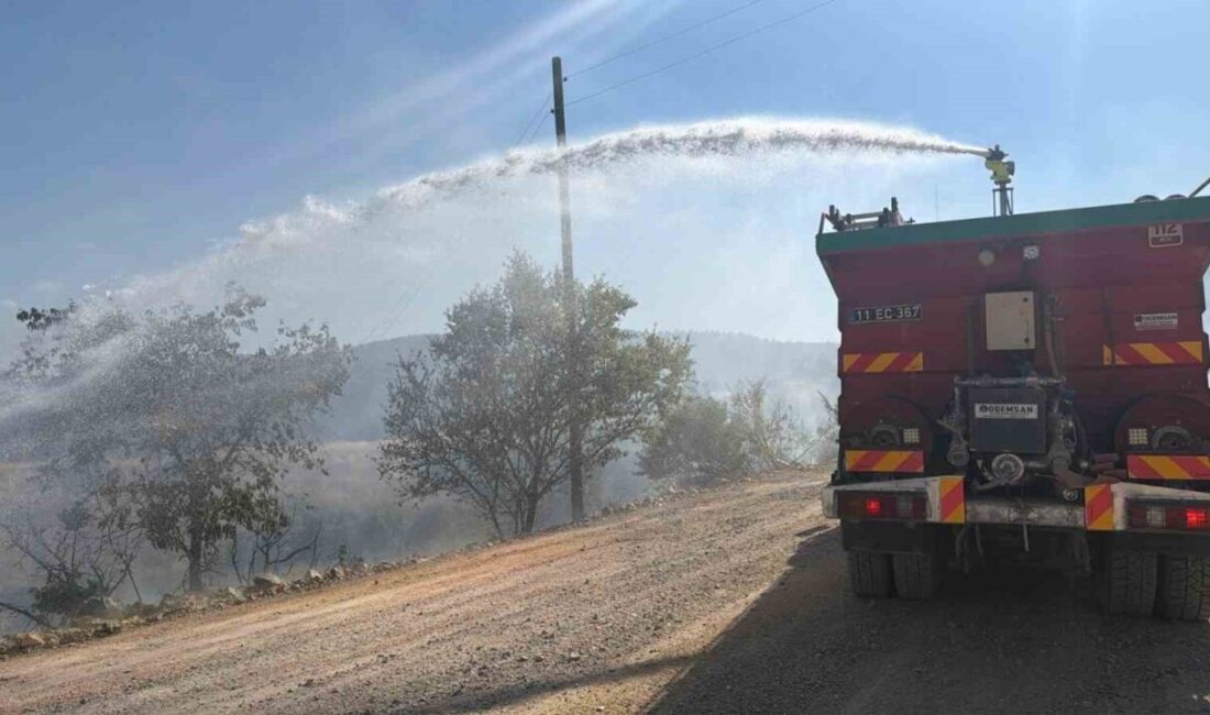 Bilecik’te, Abbaslık köyü yakınlarında bir elektrik direğinin devrilmesi sonucu tellerin