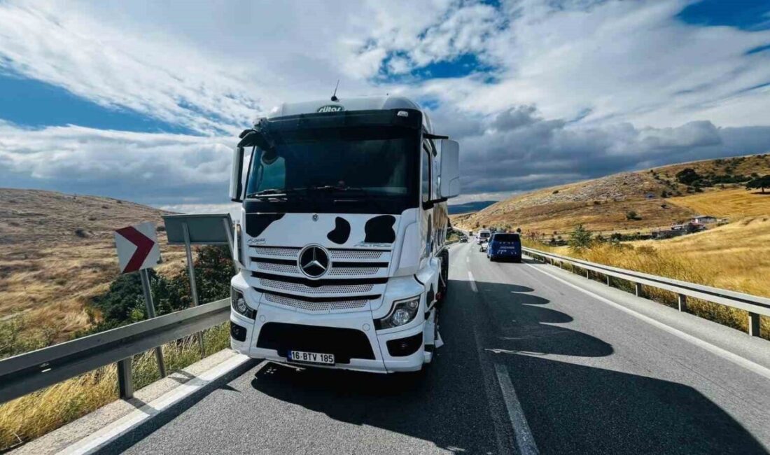 Bilecik’te bir kamyonun kontrolünü kaybederek karşı şeride geçmesi sonucu meydana