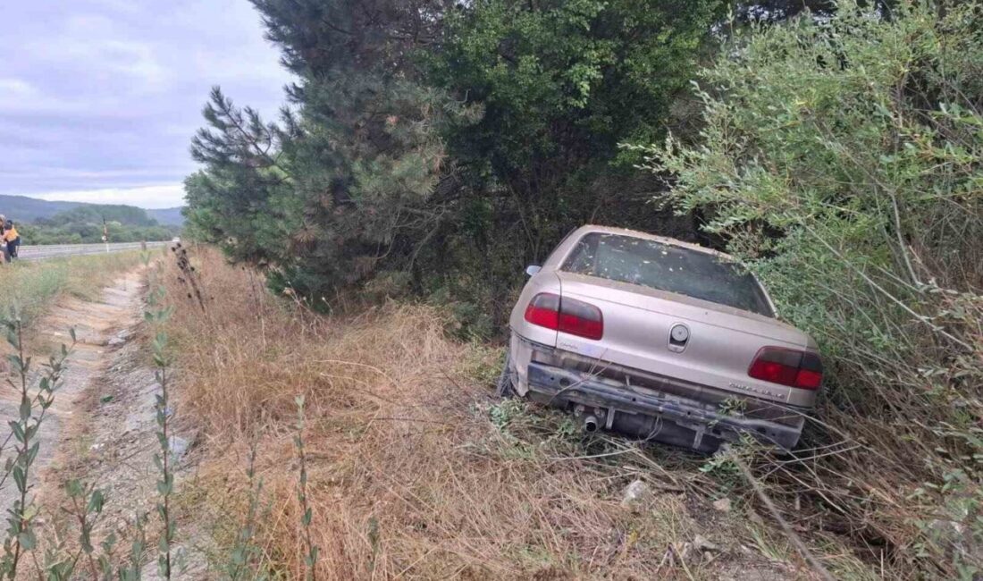 Bilecik’te bir otomobilin kontrolden çıkması sonucu meydana gelen trafik kazasında,