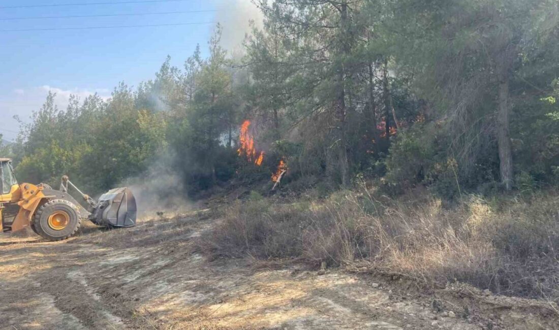 Bilecik’te başlayan orman yangını 3 saat sonra 100 dönümlük bir