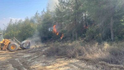 Bilecik’te başlayan orman yangını 3 saat sonra 100 dönümlük bir