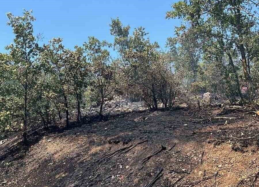 Bilecik’te Ormanlık Alanda Yangın Kontrol Altına Alındı Bilecik’in Bozüyük ilçesine