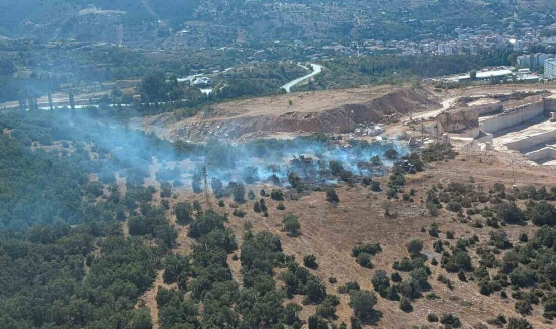 Bilecik’te Söğüt ilçesinde meydana gelen orman yangını, ekiplerin hızlı müdahalesi