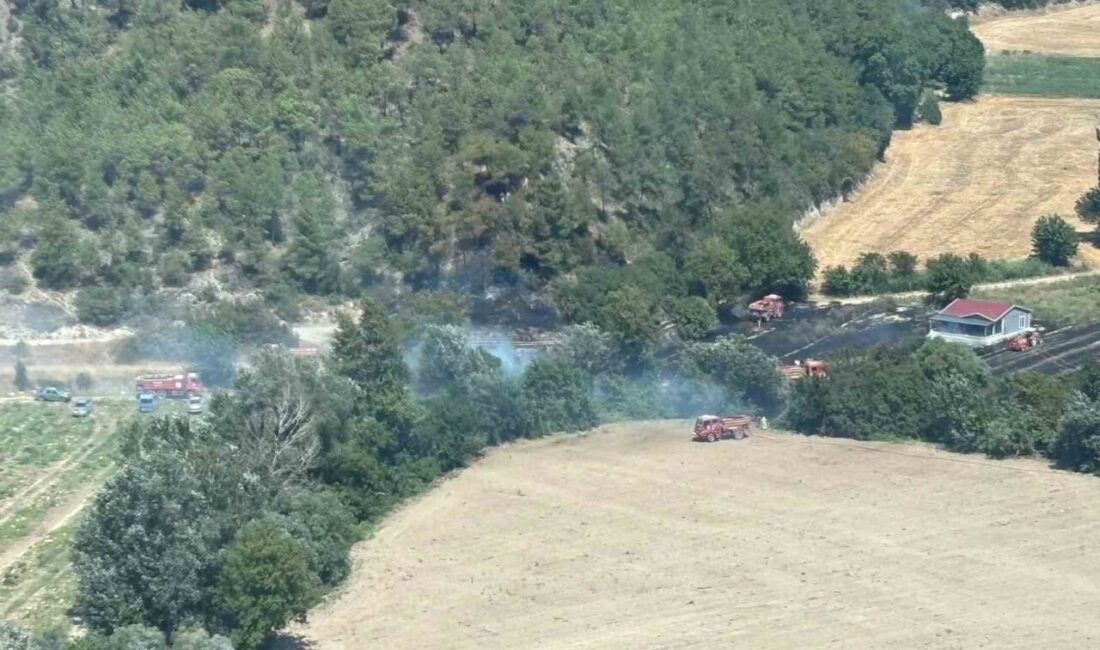 Bilecik’in Osmaneli ilçesinde ormanlık alanda yangın çıktı. İlçeye bağlı Medetli