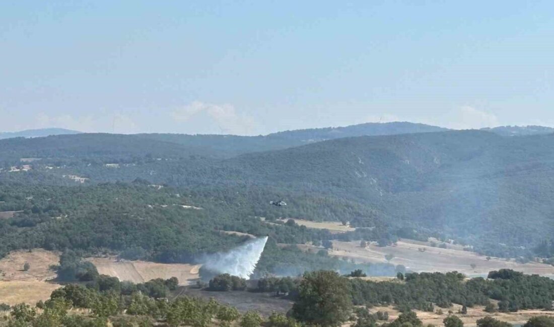 Söğüt ilçesinde çıkan orman yangınına hızla müdahale edilerek kontrol altına