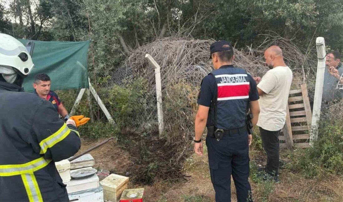 Bilecik’te ot ve çalılık yangını kontrolden çıkmadan önce söndürüldü. Bilecik