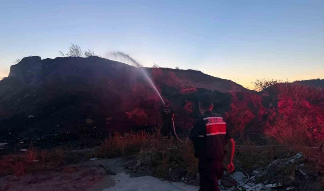 Bilecik ilinde bir ot ve çalılık yangını meydana geldi. Yangın,