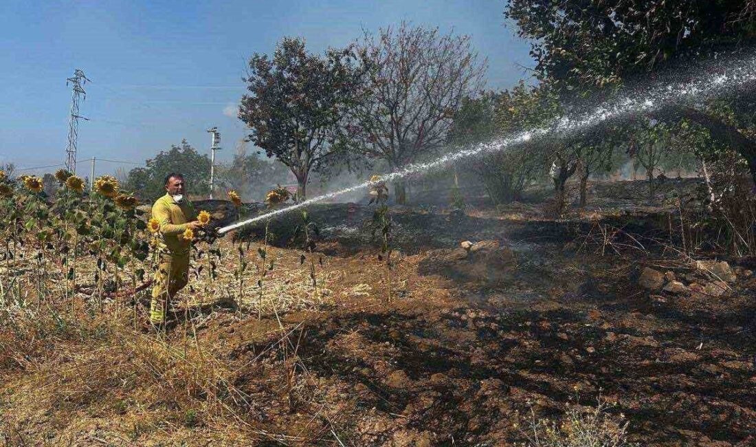 Bilecik’te Çıkan Ot Yangını Paniğe Yol Açtı Bilecik’in Gölpazarı ilçesine