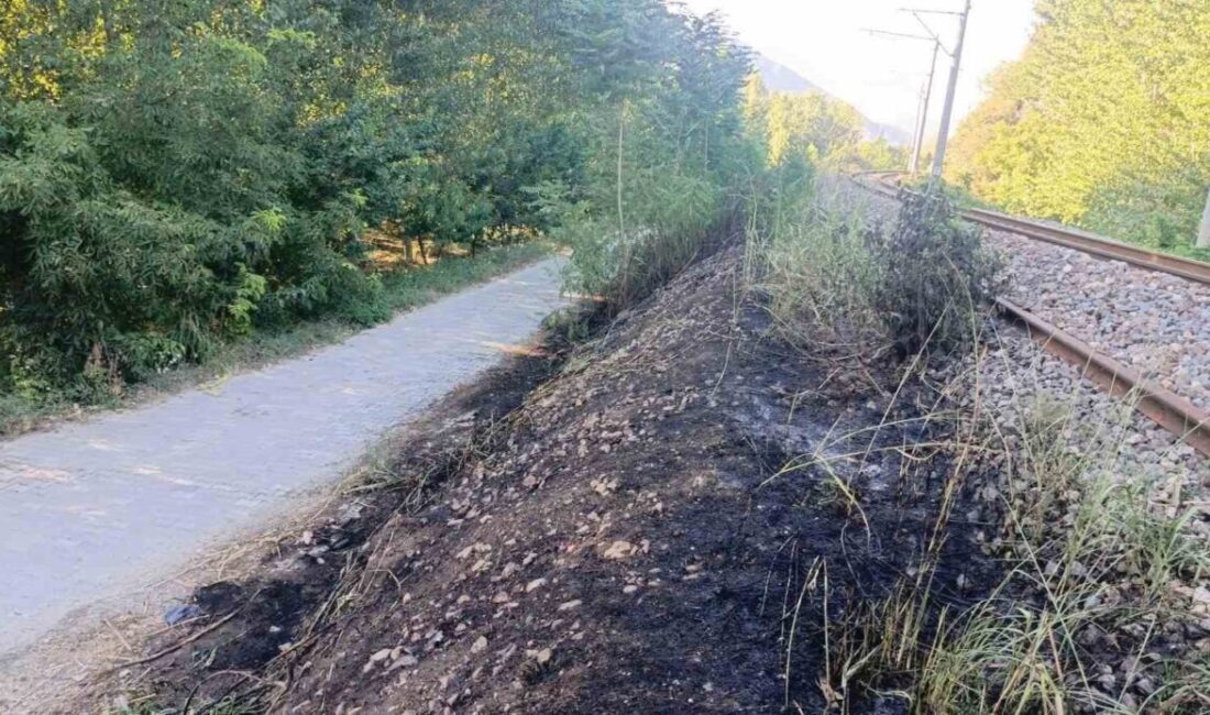 Bilecik’te, Yüksek Hızlı Tren (YHT) hattı yakınlarında ot ve çalılıkların