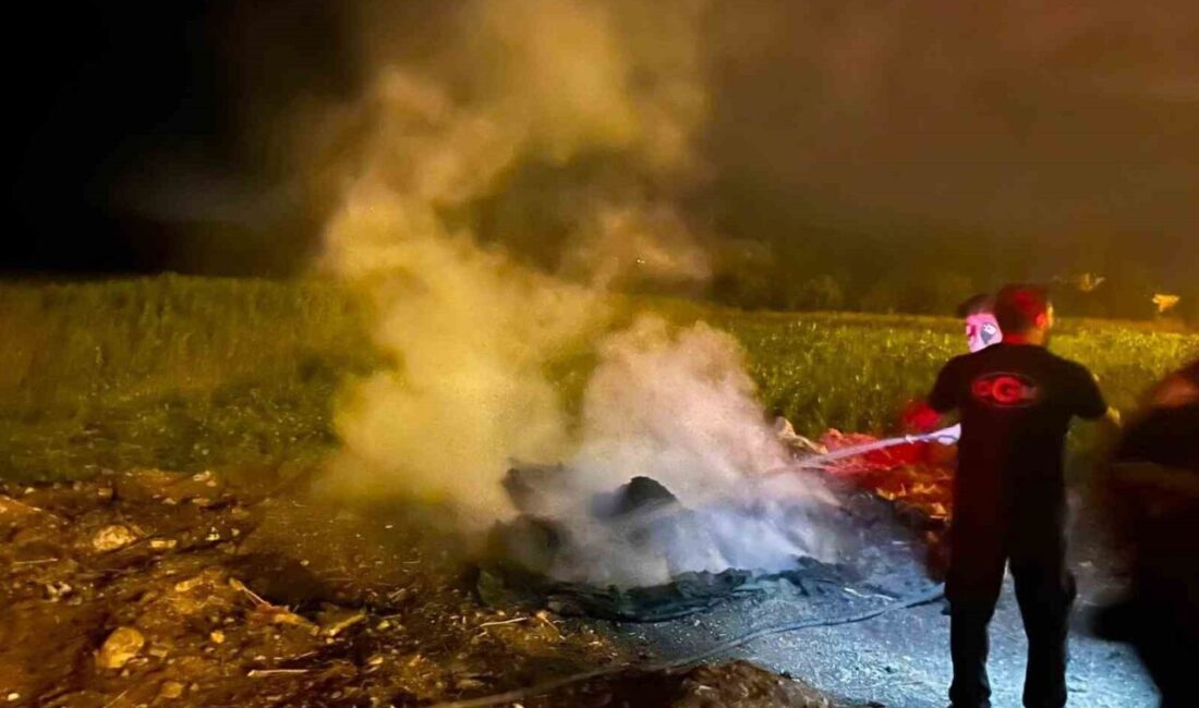 Bilecik’in Gölpazarı ilçesinde, yol kenarındaki bir çöp yığınında yangın çıktı.