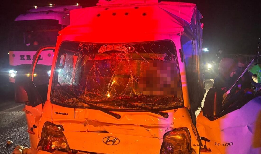 Bozüyük ilçesinde meydana gelen trafik kazasında, yolcu otobüsü ile kamyonet