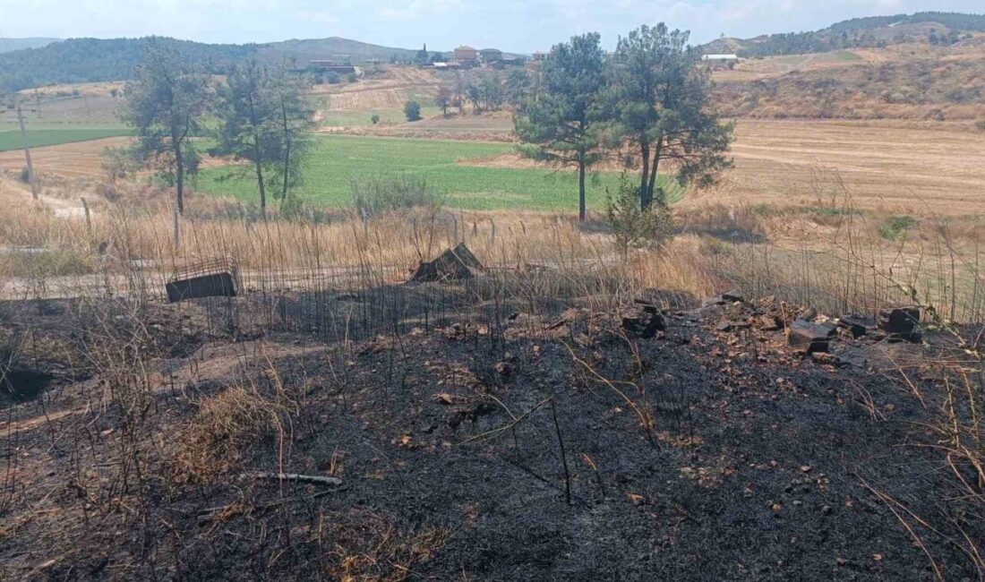 Bilecik’in Osmaneli ilçesinde tarım arazisinde çıkan yangın hızlı bir şekilde