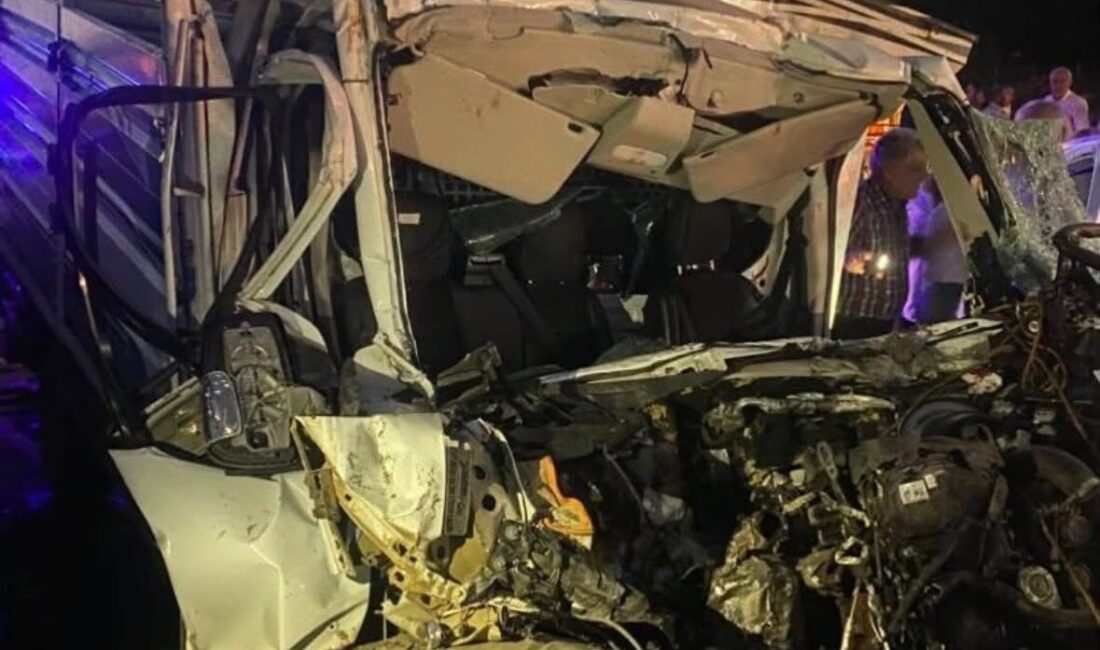 Bir trafik kazası Bingöl’de meydana geldi ve olayda 1 kişi