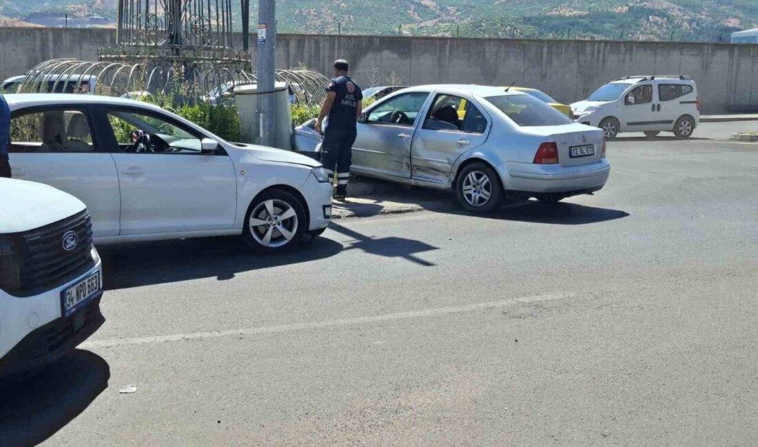 Bingöl ilinde meydana gelen trafik kazasında iki otomobil çarpıştı ve