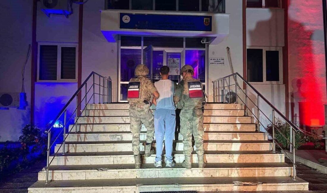 Bingöl’de gerçekleştirilen jandarma operasyonlarında, hapis cezaları kesinleşmiş olan 5 şüpheli