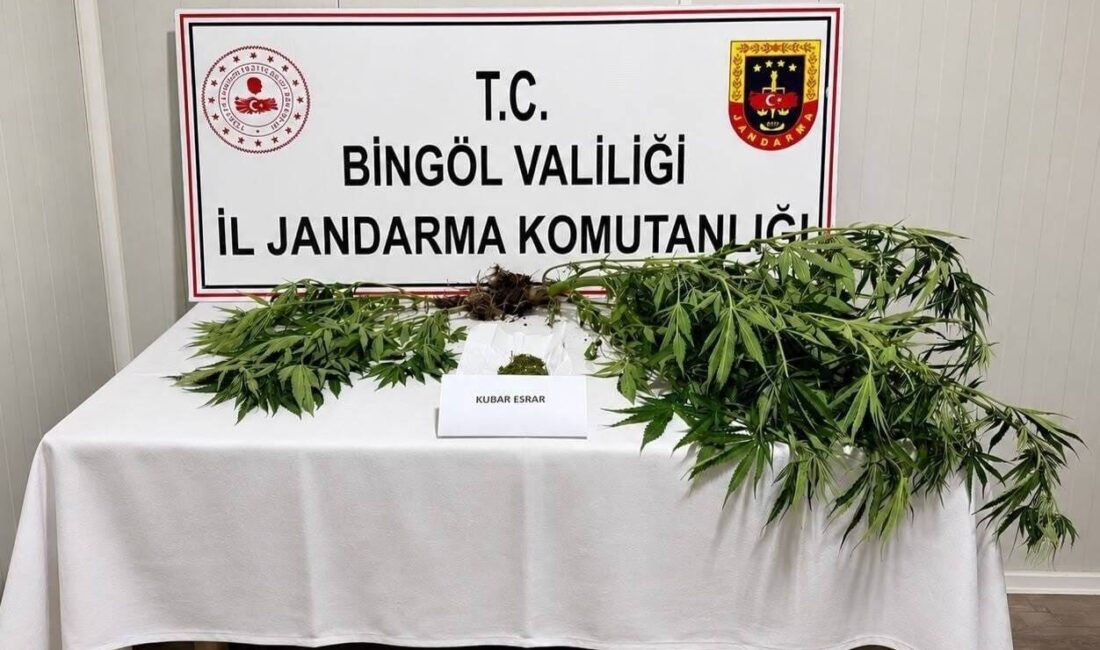 Bingöl’de jandarma ekipleri tarafından gerçekleştirilen operasyonlarda, kesinleşmiş ceza ile aranan