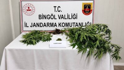 Bingöl’de jandarma ekipleri tarafından gerçekleştirilen operasyonlarda, kesinleşmiş ceza ile aranan