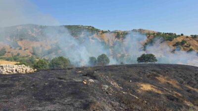 Bingöl’ün Genç ilçesine bağlı kırsal alanda meydana gelen yangın, ekiplerin