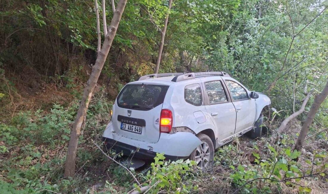 Bingöl’de meydana gelen trafik kazasında, sürücü kontrolünden çıkan bir otomobilin