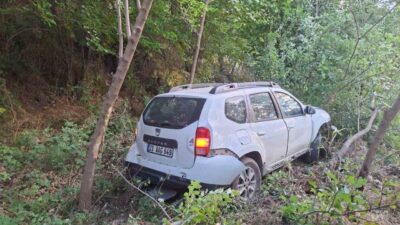 Bingöl’de meydana gelen trafik kazasında, sürücü kontrolünden çıkan bir otomobilin