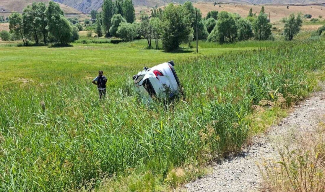 Bingöl ilinde meydana gelen bir trafik kazasında, bir otomobilin kontrolünü