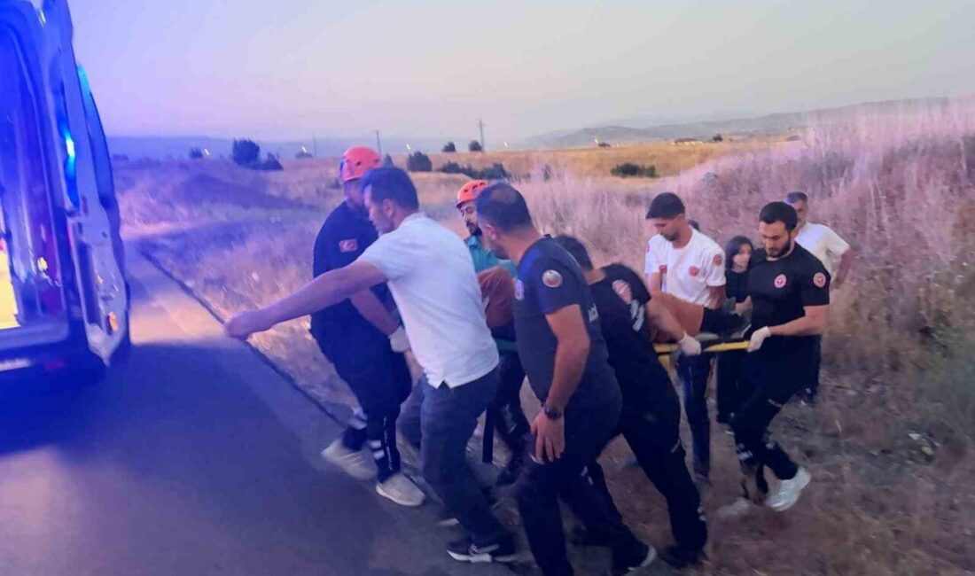 Bingöl’de, bir sürücünün aracın kontrolünü kaybetmesi sonucu meydana gelen trafik