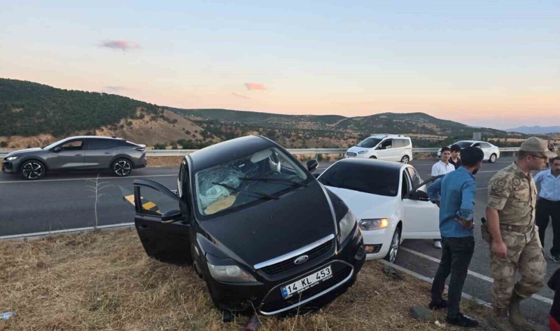 Bingöl’de, Bingöl-Muş karayolunun Kardeşler köyü yakınlarında akşam saatlerinde meydana gelen