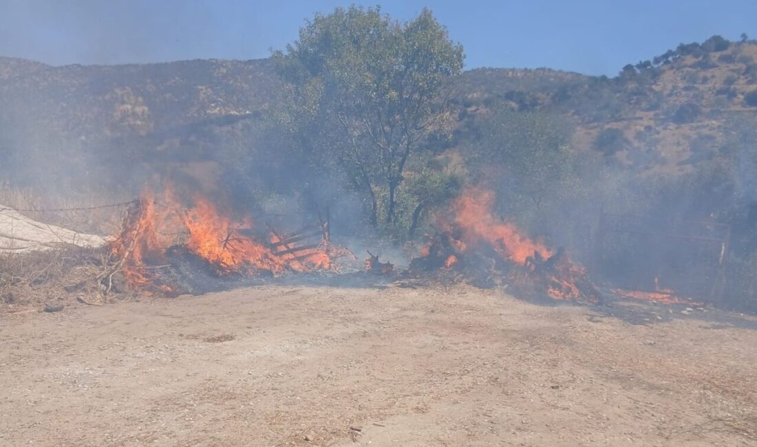 Karpuzlu ilçesindeki bir evin bahçesinde bulunan zeytinlik alanda çıkan yangın,