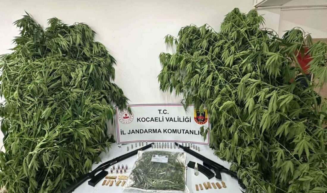 Kocaeli’de polis ve jandarma ekiplerinin son bir hafta içerisinde 151