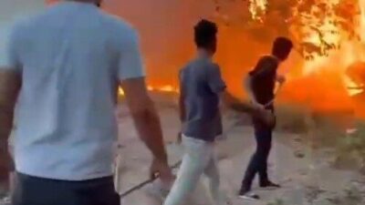 Birecik ilçesine bağlı Güzelyurt Mahallesi’nde yer alan ağaçlık alanda çıkan