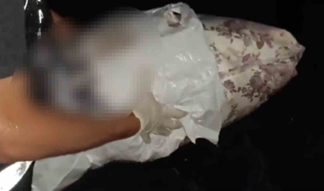 Sakarya ilinde gerçekleştirilen uyuşturucu operasyonunda, İstanbul’dan uyuşturucu getirdiği belirlenen bir