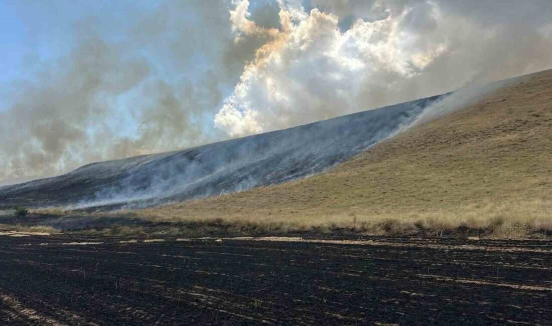 Bitlis’in Ahlat ilçesinde biçilmiş buğday tarlaları ve kuru otların bulunduğu