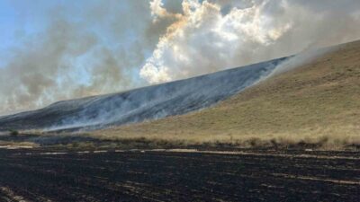 Bitlis’in Ahlat ilçesinde biçilmiş buğday tarlaları ve kuru otların bulunduğu