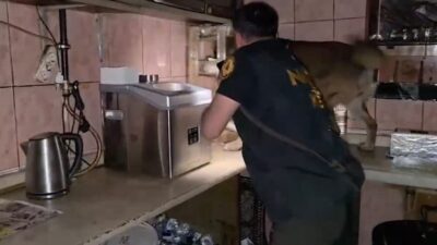 Bitlis ilinde gerçekleştirilen uyuşturucu operasyonunda 11 şüpheli tutuklandı. Bitlis ve
