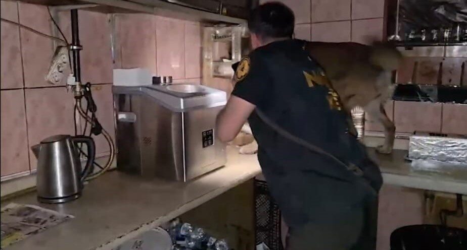 Bitlis ilinde gerçekleştirilen uyuşturucu operasyonunda 11 şüpheli tutuklandı. Bitlis ve