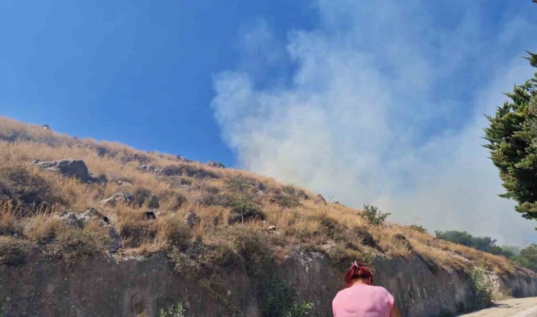 Bodrum’un Akyarlar Mahallesi’nde, otluk ve makilik alanda yangın çıktı. Yangın,