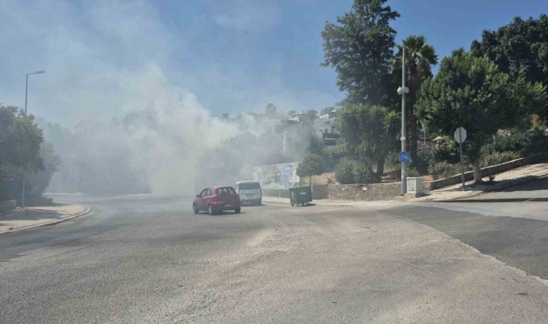 Muğla’nın Bodrum ilçesinde, Burak Sitesi yakınındaki otluk ve ağaçlık alanda
